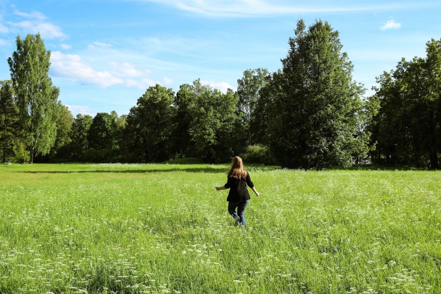 На зеленом лугу