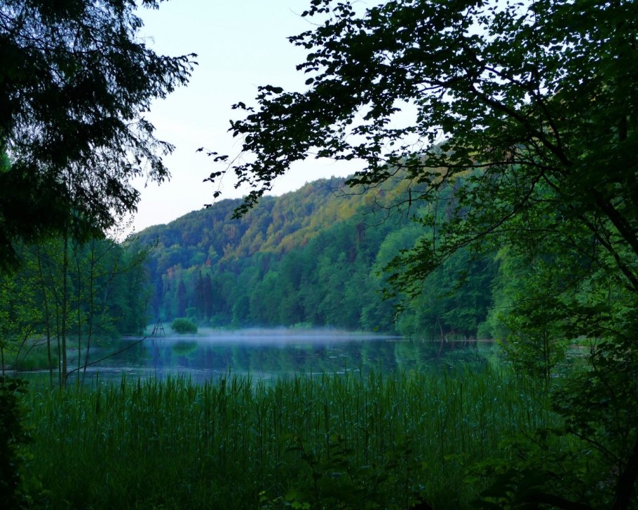 Заповедник фон