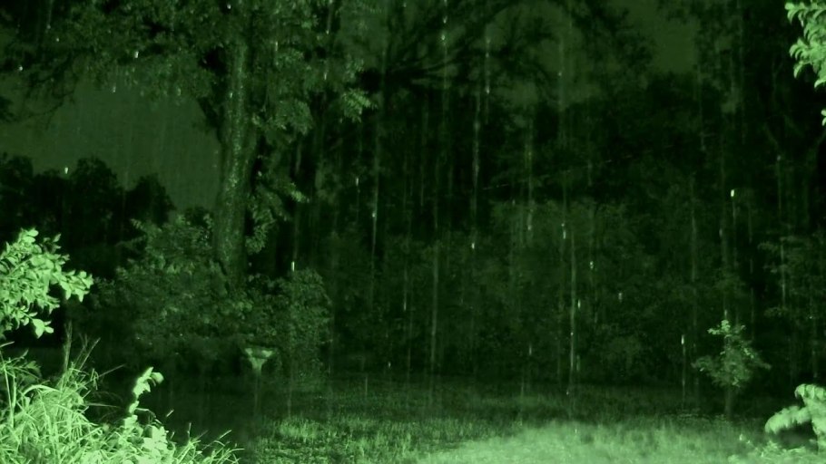 Лес под дождём gif