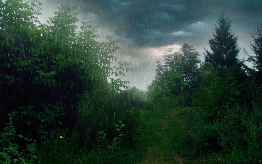 Ливень в лесу ночью