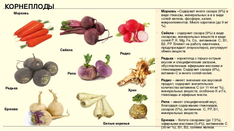 Овощи корнеплоды таблица