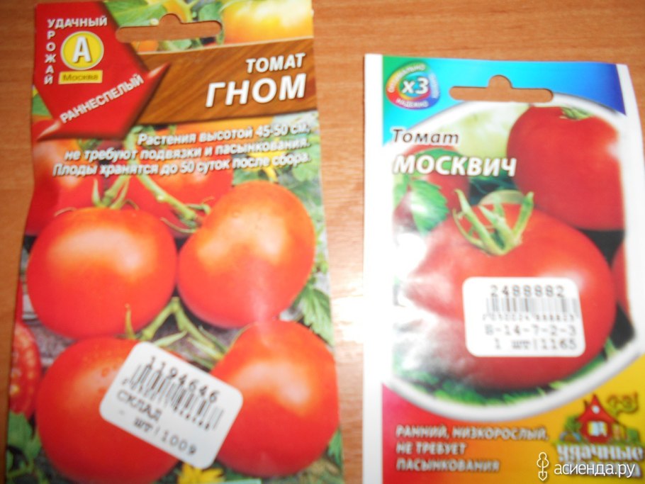 Сорт помидоров дружок f1