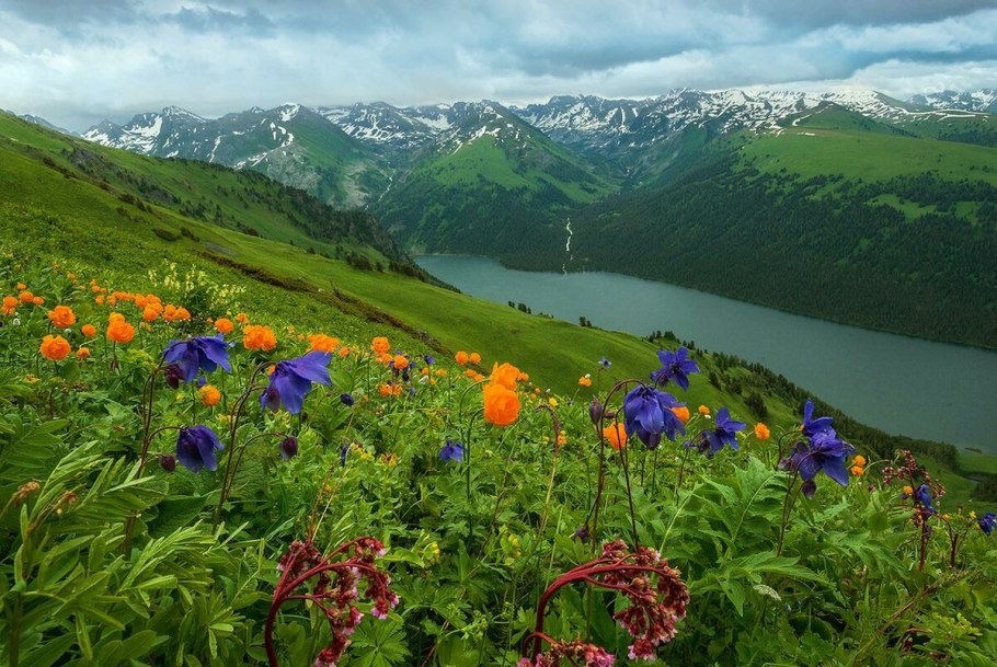 Катунский заповедник Республика Алтай