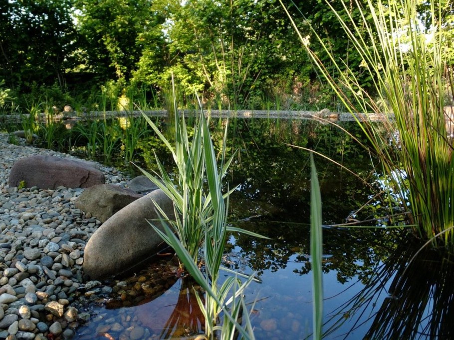 Озеро глубокое Шадринский район
