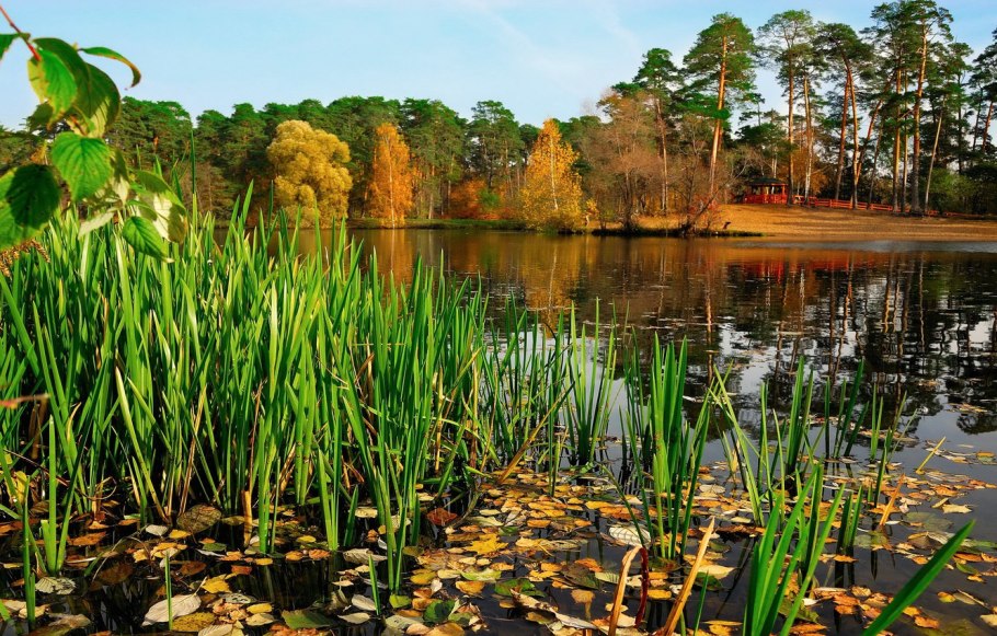 Камыш-Самарские озёра