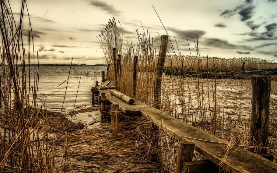 Тверь камыш озеро