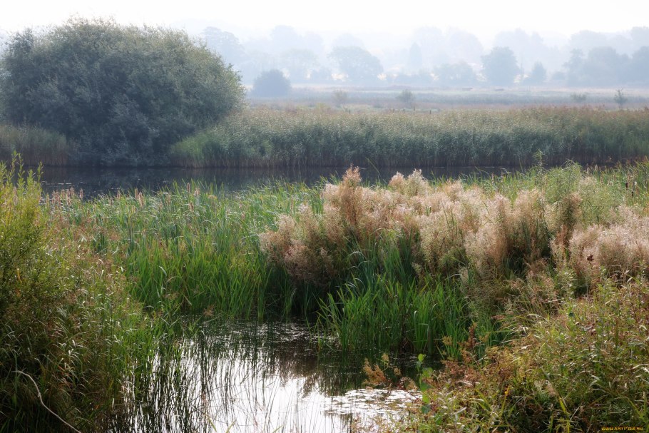 Река Тростня Истринский район