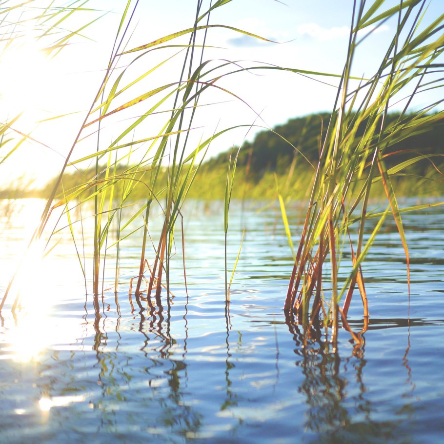 Река камыш Пермский край