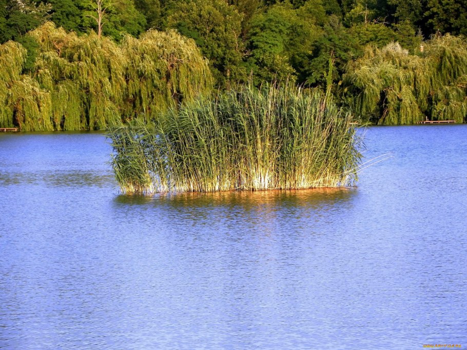 Камыш-Самарские озёра