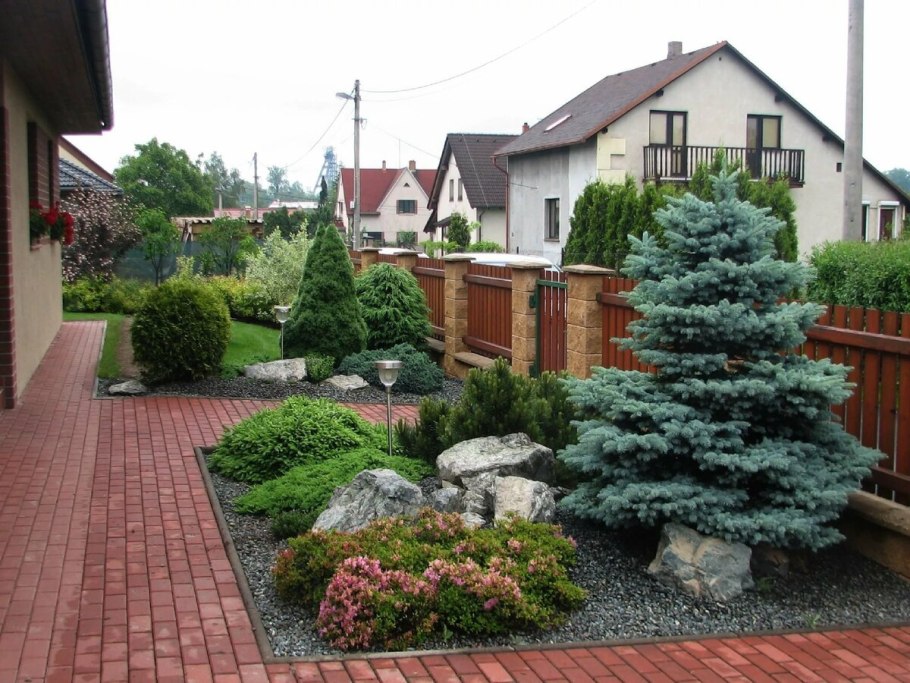 Миксбордер туя Барбарис