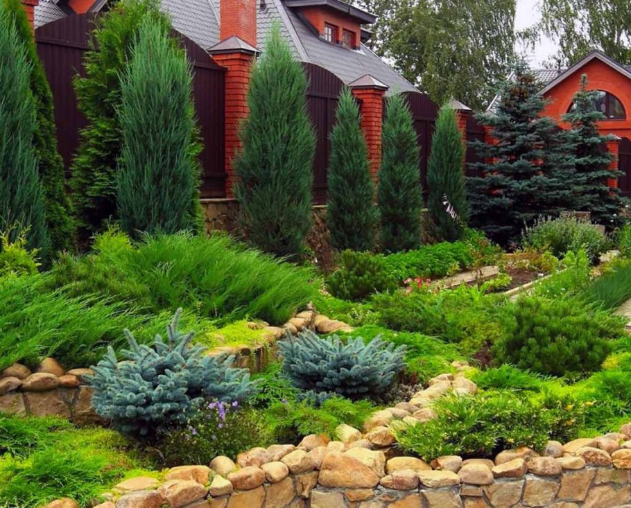 Розарий с хвойниками в ландшафтном