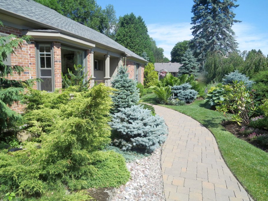 Туя Смарагд в ландшафте