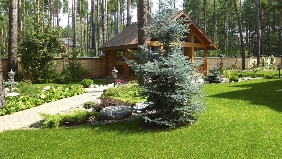 Спирея геопластика