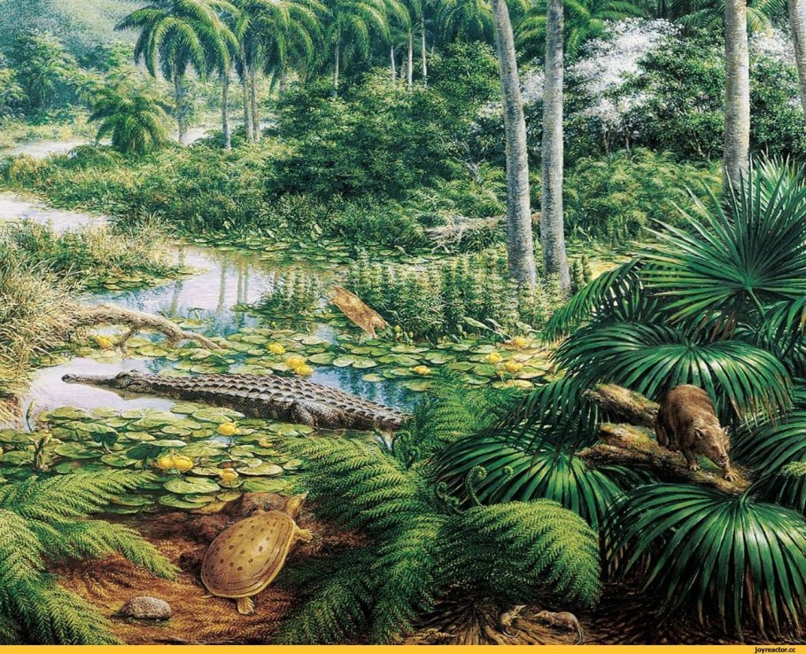 Палеоген и неоген