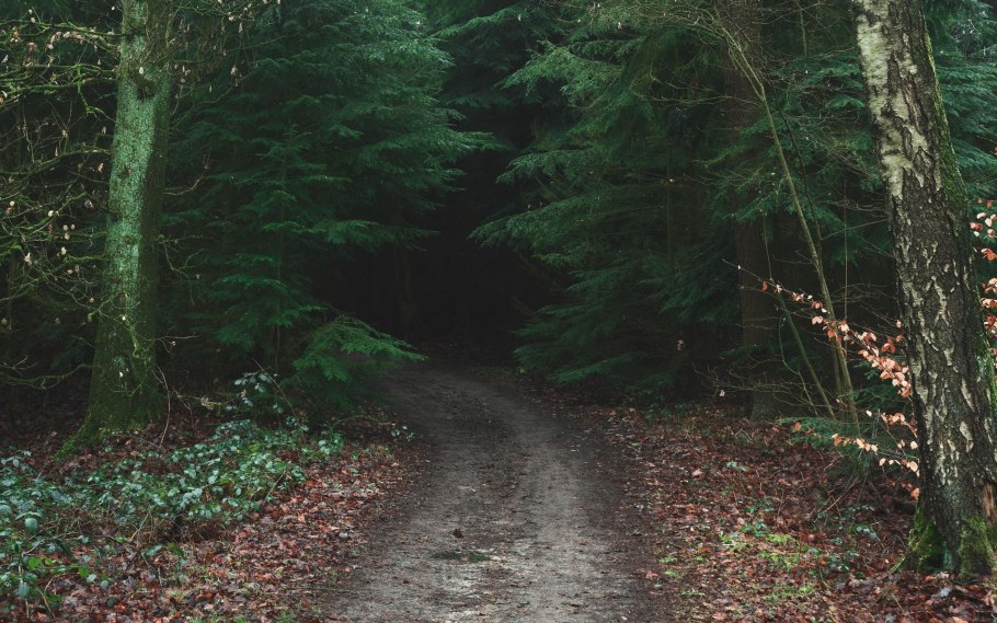 Шварцвальд дорога