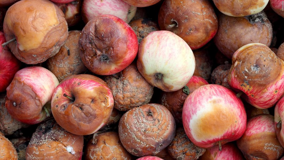 Монилиоз косточковых черешни