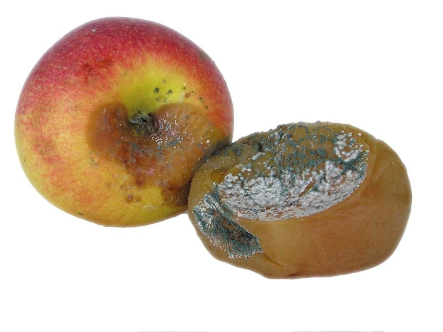 Гнилые фрукты