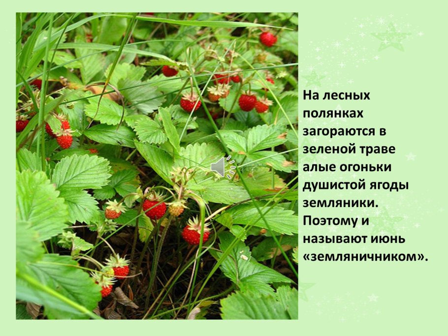 Стих про землянику