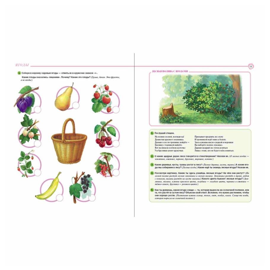 Логопедическое задание для дошкольников на тему грибы и ягоды