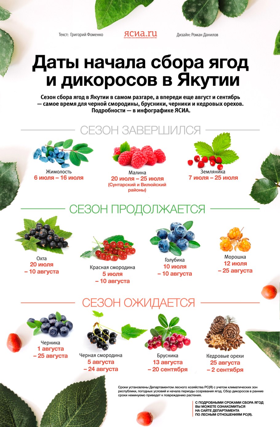 Ягоды перечень