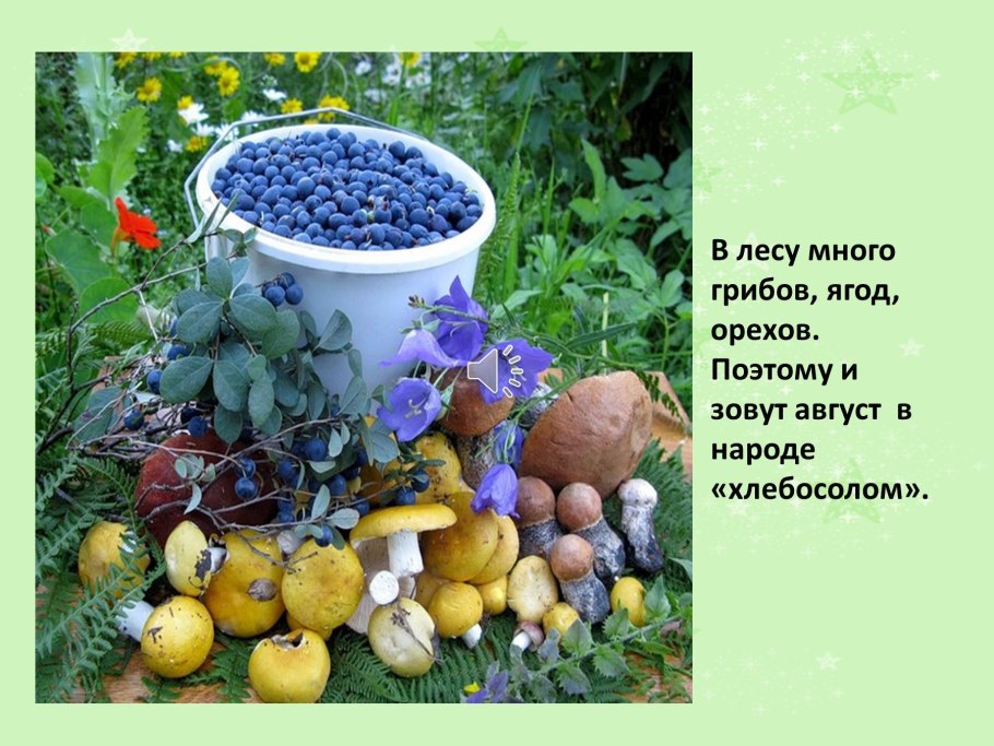 Слайд ягоды в лесу