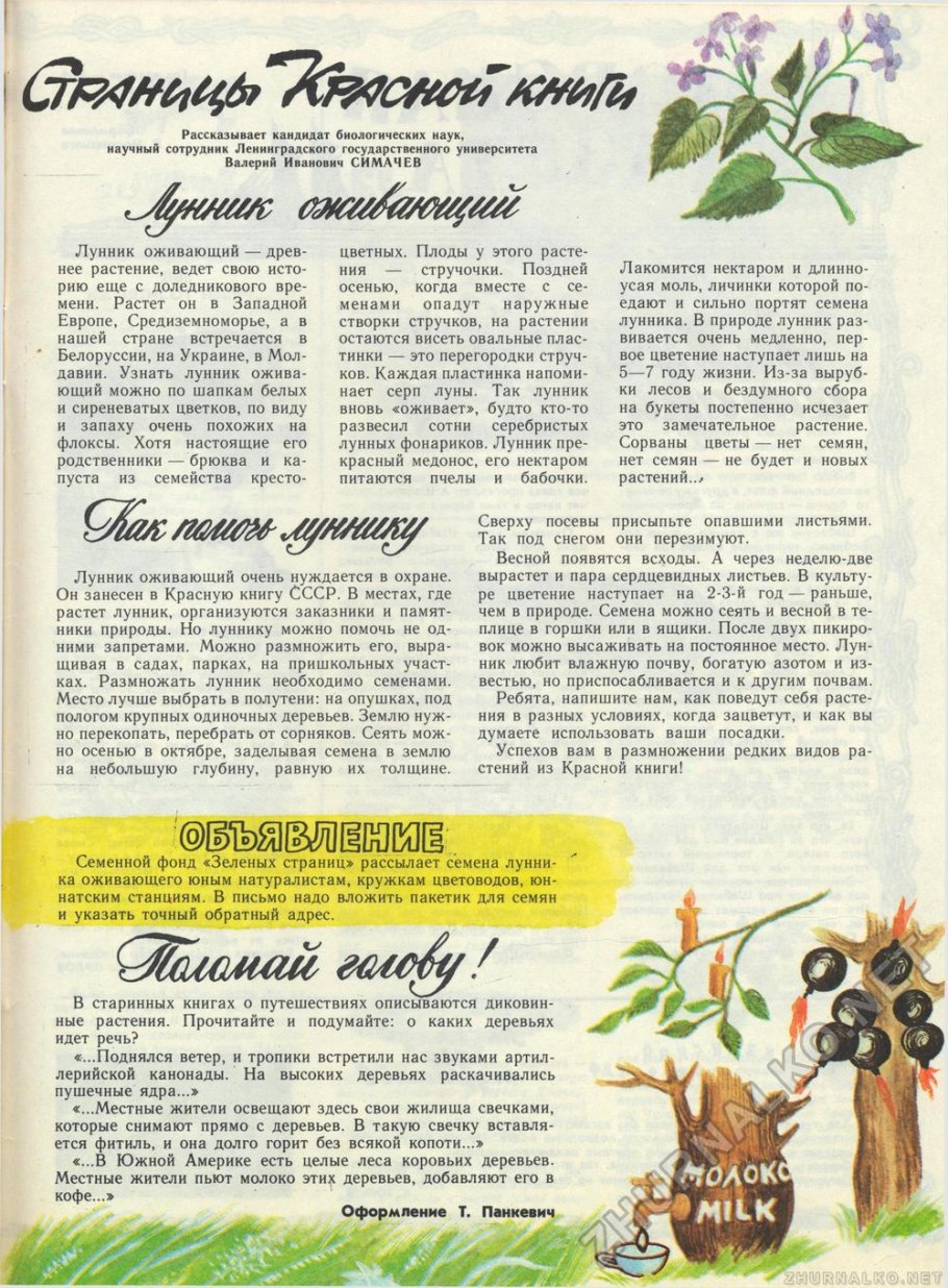 Лунник оживающий растение