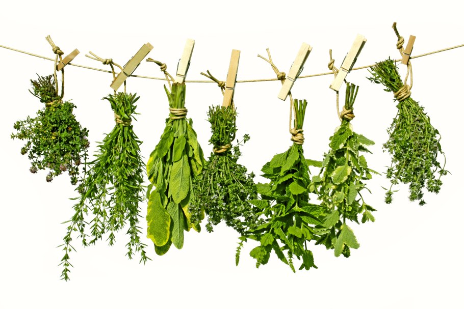 Травы сушатся