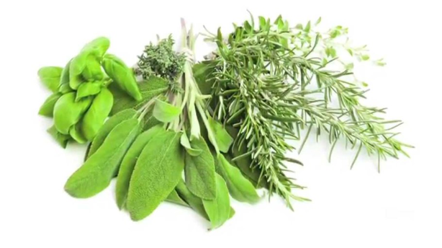 Пряная зелень