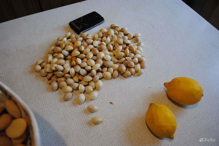 Гинкго билоба семена едят?