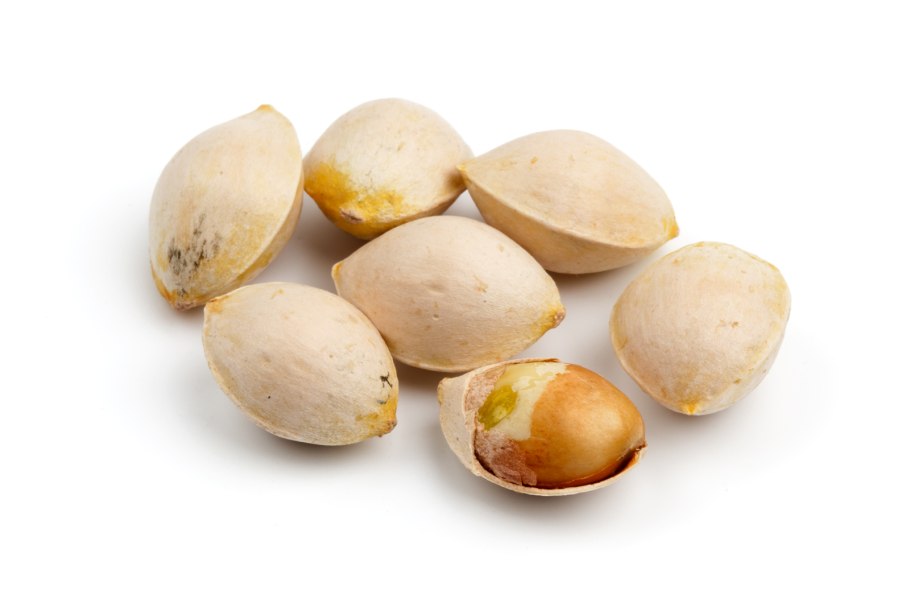 Гинкго двулопастный плоды