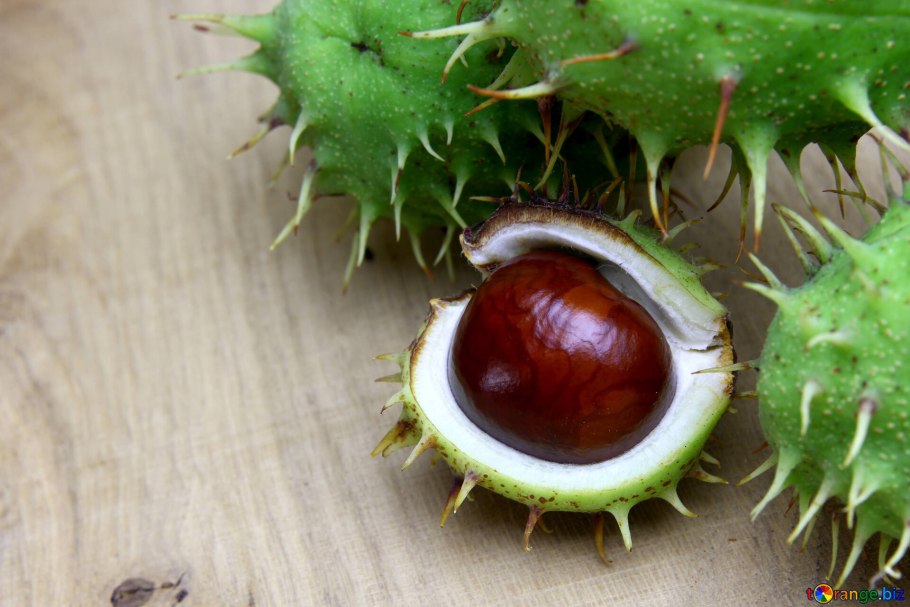 ШИПАСТЫЙ тропический фрукт