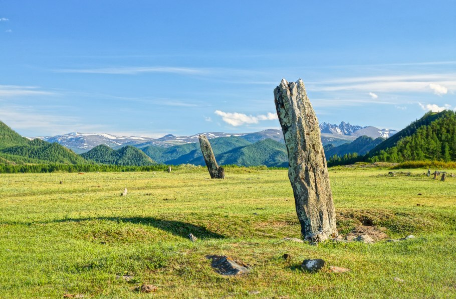 Кампанула кавказский заповедник