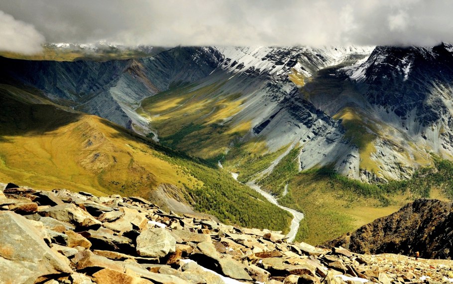 Кавказский заповедник дуб
