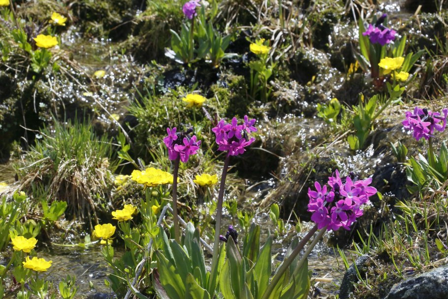 Катон Карагай Казахстан