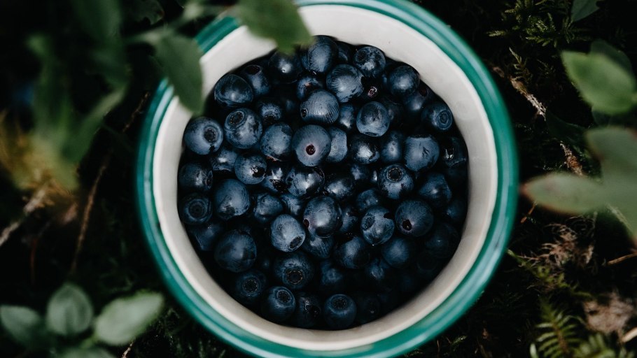 Черника красиво