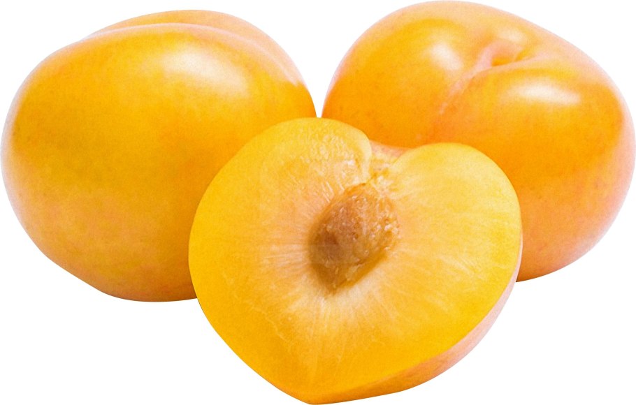 Слива Голден Плумза