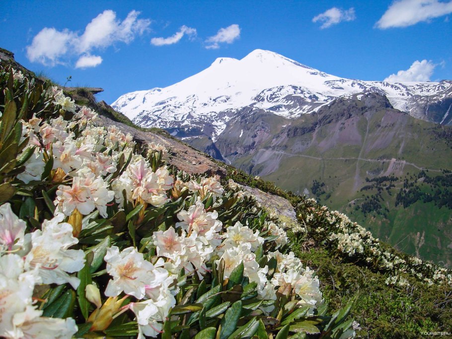 Кавказский национальный парк «Приэльбрусье»
