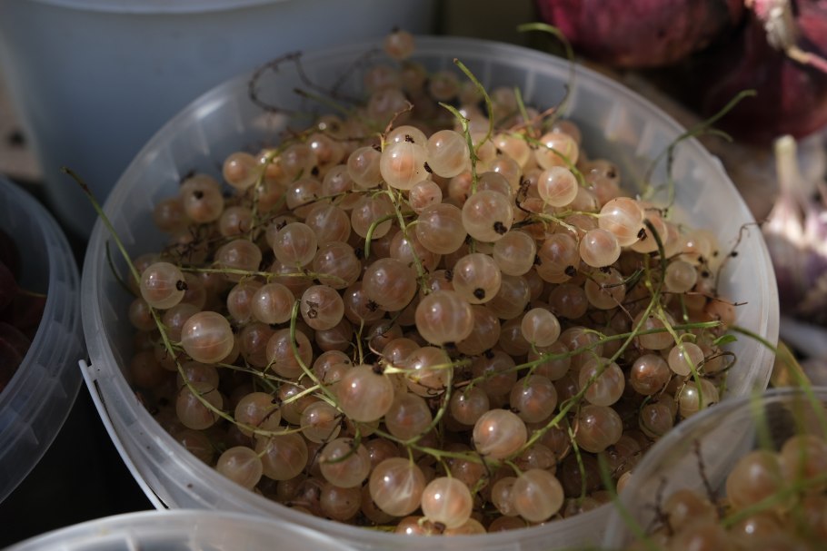 Белая смородина фото