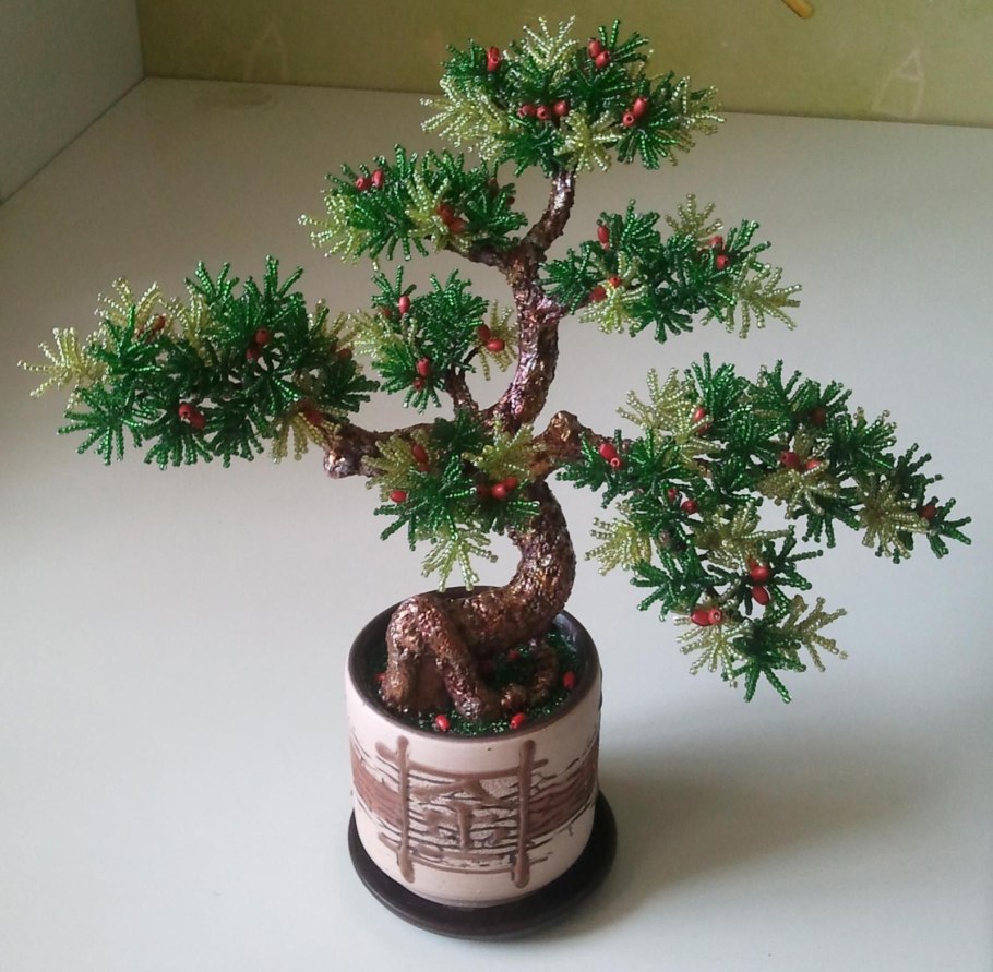 Тисс бонсай