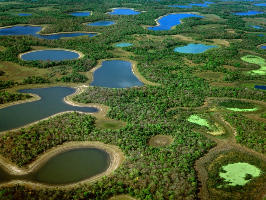 Дельта реки Окаванго