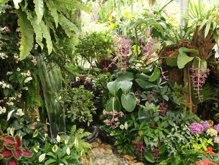 Тропический уголок в саду