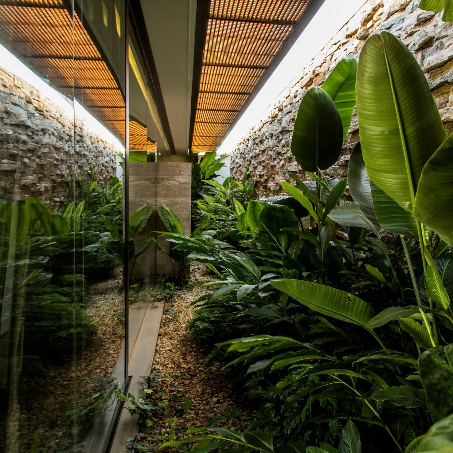 Тропический зимний сад