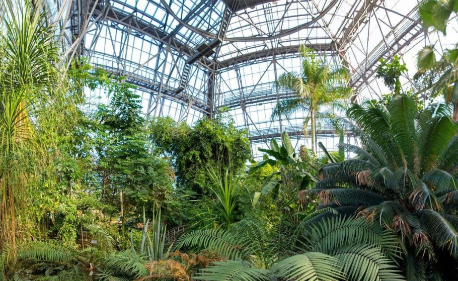 Ботанический сад Киев оранжерея