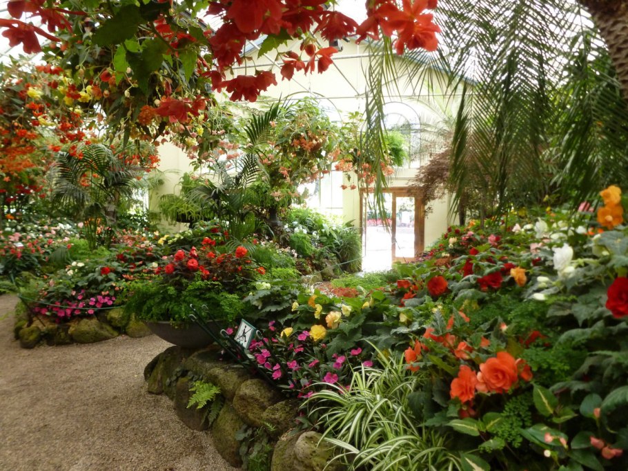 Розарий сад оранжерея