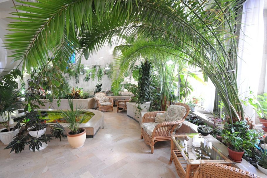 Зимний сад фитодизайн