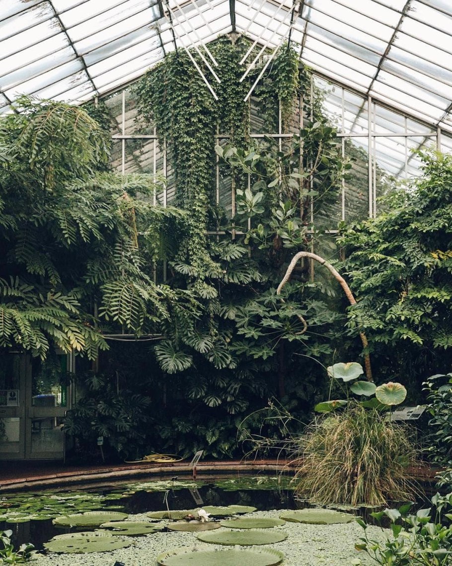 Оранжерея Ботанический зимний сад