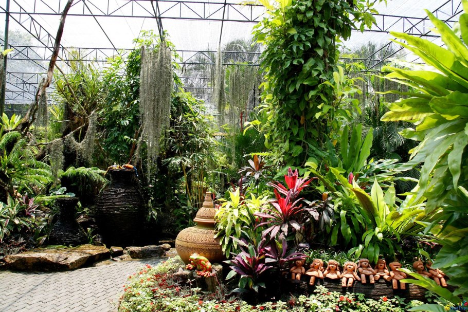Оранжерея Тайланда