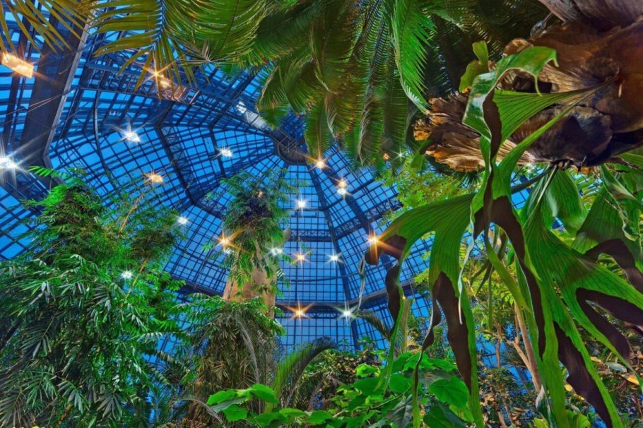 Оранжерея ботанического сада Петра Великого