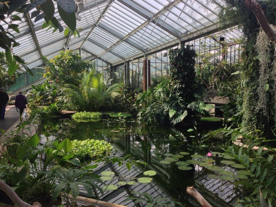 Оранжереи и Ботанические сады план