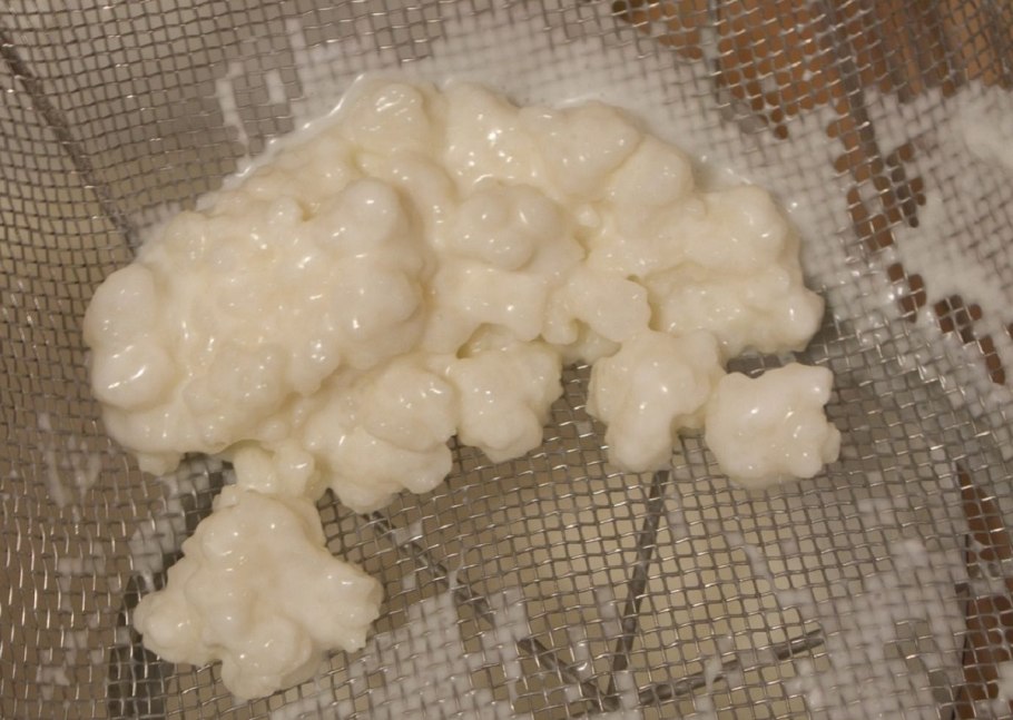 Тибетский молочный рис